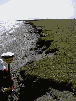 Miniaturabbildung mit Link Miniaturabbildung mit Link